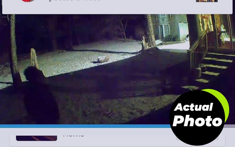 blink-mini-security-cam-white-pic-3