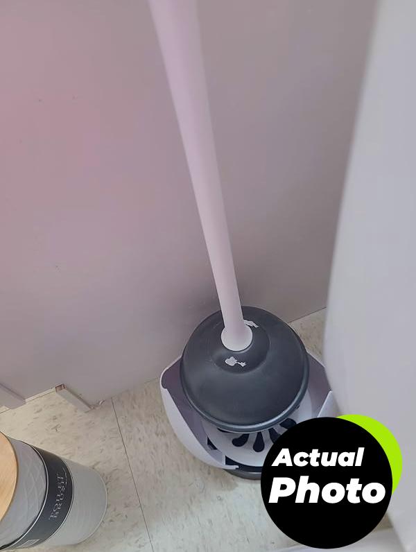 clorox-toilet-plunger-organizer-pic-3