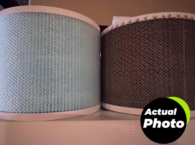 levoit-air-purifier-filter-pet-core300-rf-pa-pic-1