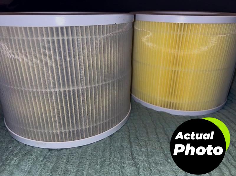 levoit-air-purifier-filter-pet-core300-rf-pa-pic-3