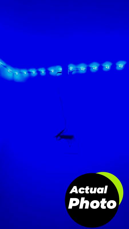 tenmiro-led-lights-bedroom-100ft-music-sync-pic-2