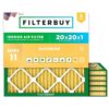Exceptional Air Quality with Filterbuy’s 20×20 Pack for Pets and Allergies